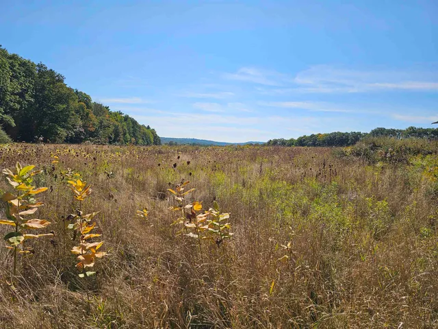 $137,500 | 0 Shaw Road, Center Barnstead, NH 03225