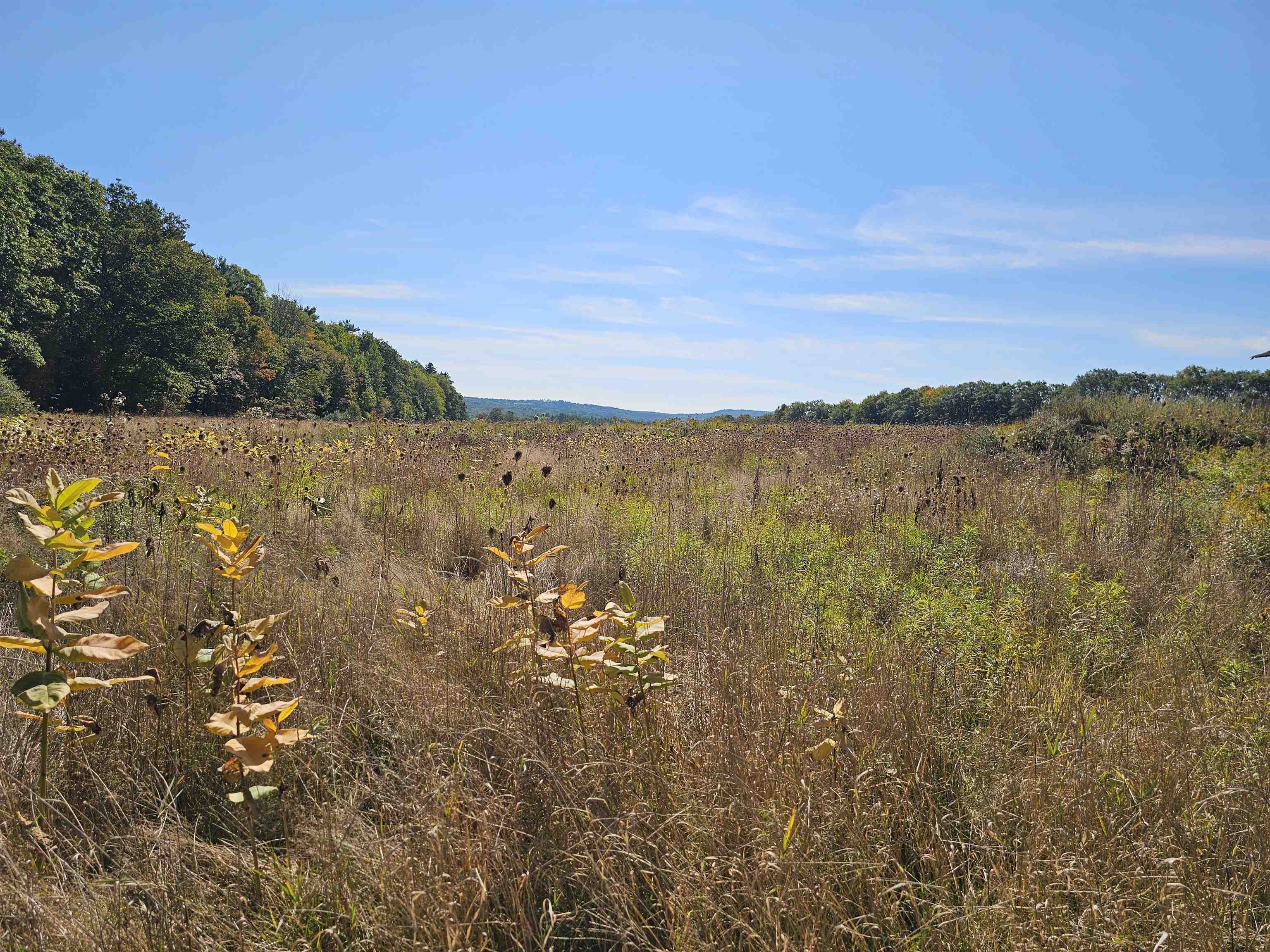 0 Shaw Road Center Barnstead, NH 03225 - Photo 5 of 39