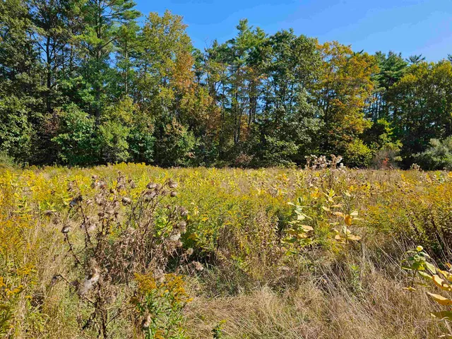 $137,500 | 0 Shaw Road, Center Barnstead, NH 03225