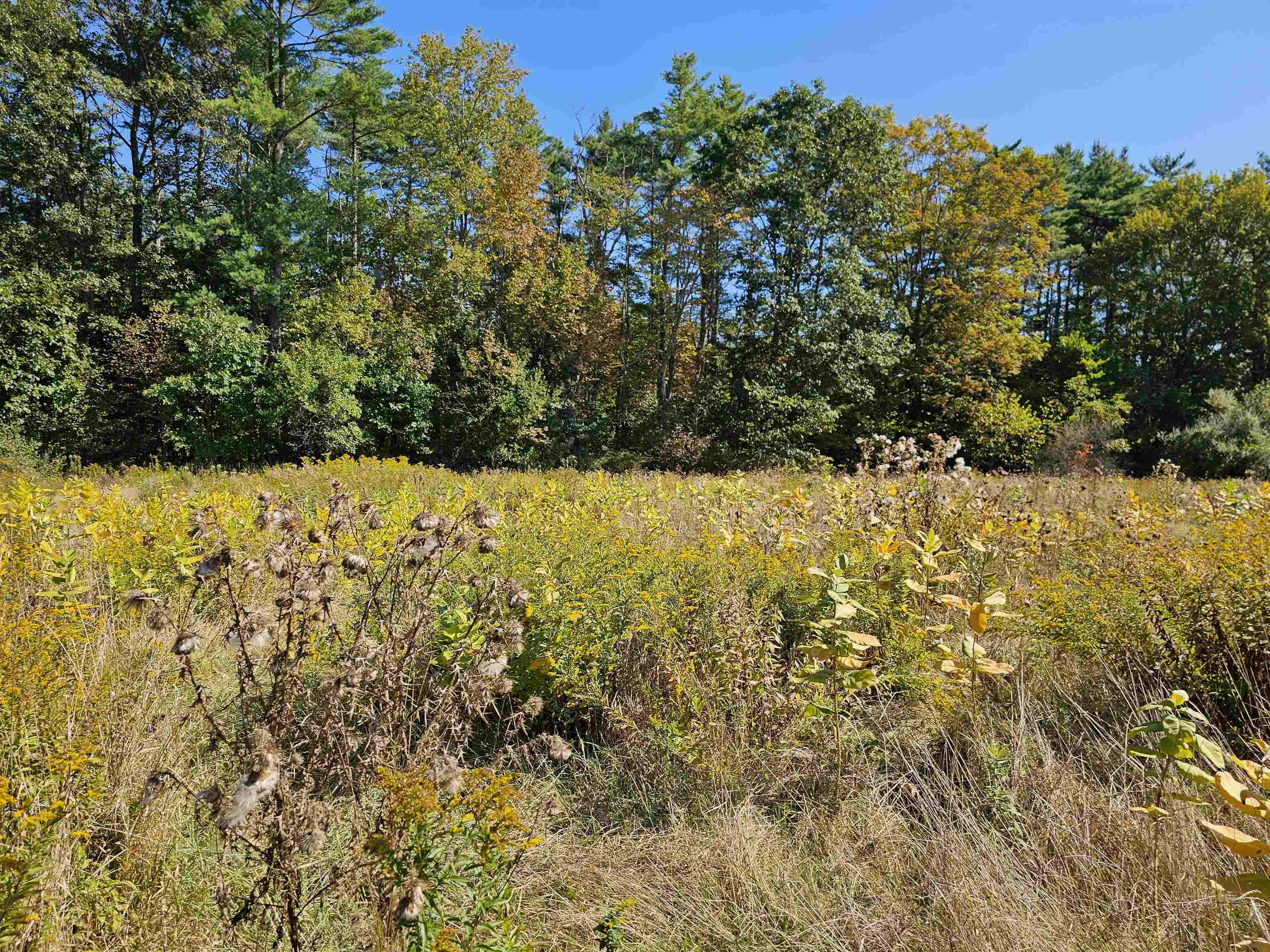 0 Shaw Road Center Barnstead, NH 03225 - Photo 6 of 39