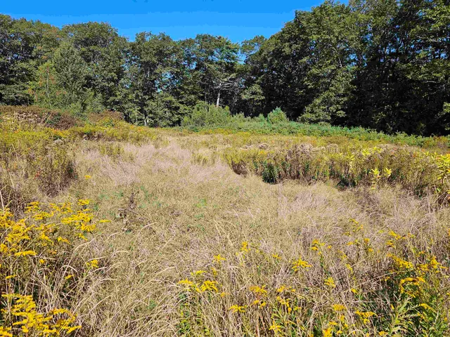 $137,500 | 0 Shaw Road, Center Barnstead, NH 03225