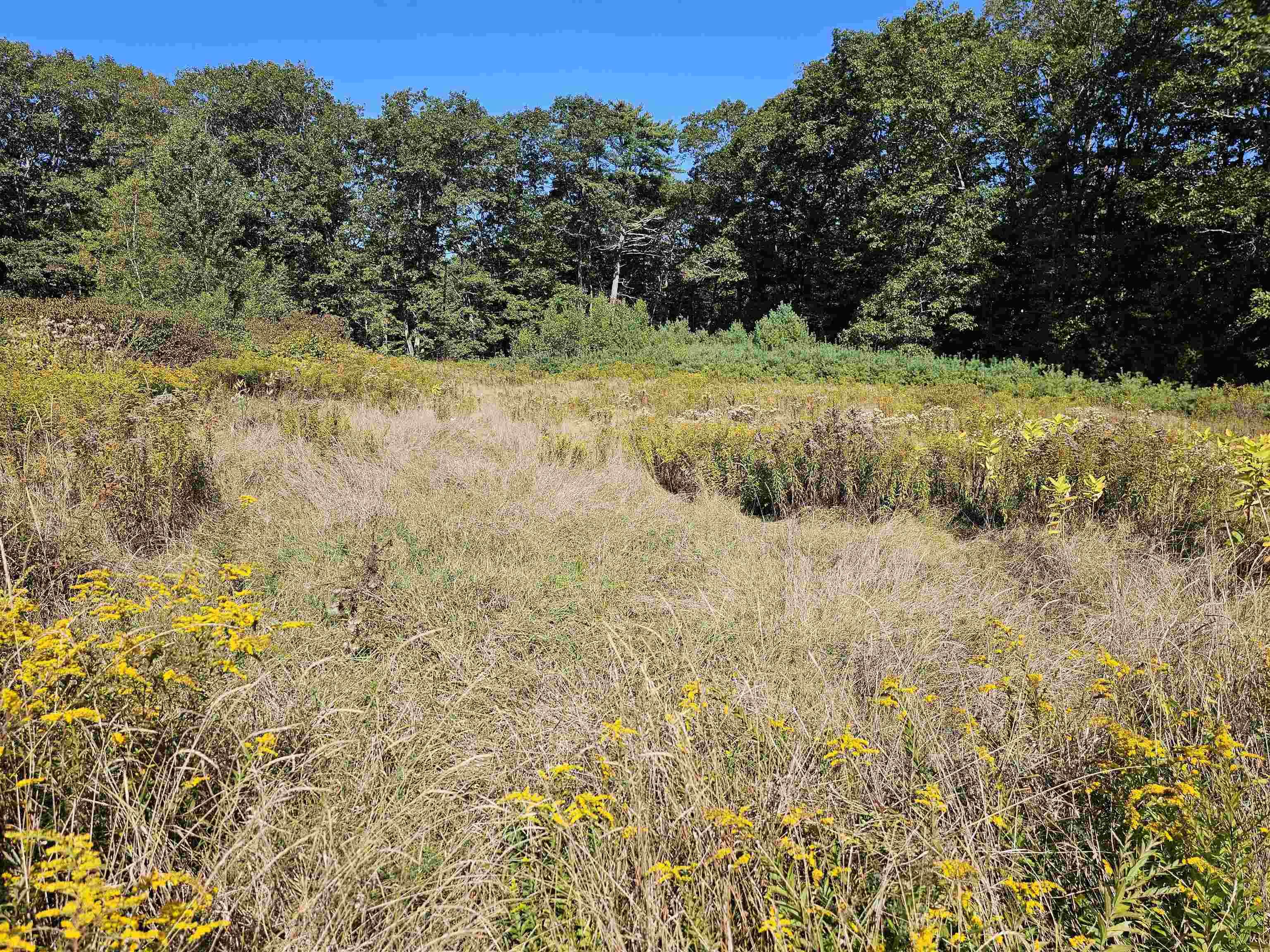 0 Shaw Road Center Barnstead, NH 03225 - Photo 7 of 39