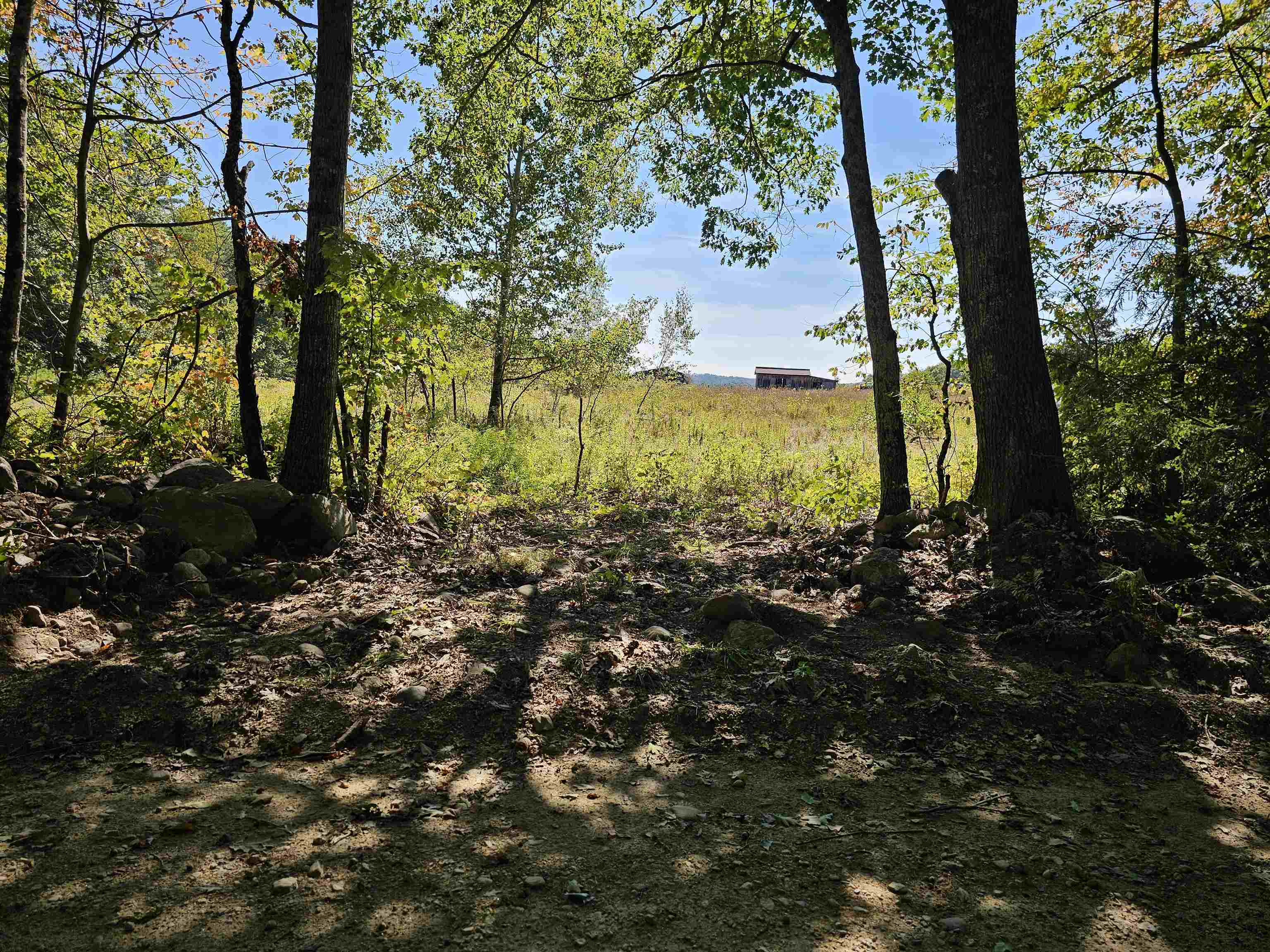 0 Shaw Road Center Barnstead, NH 03225 - Photo 8 of 39