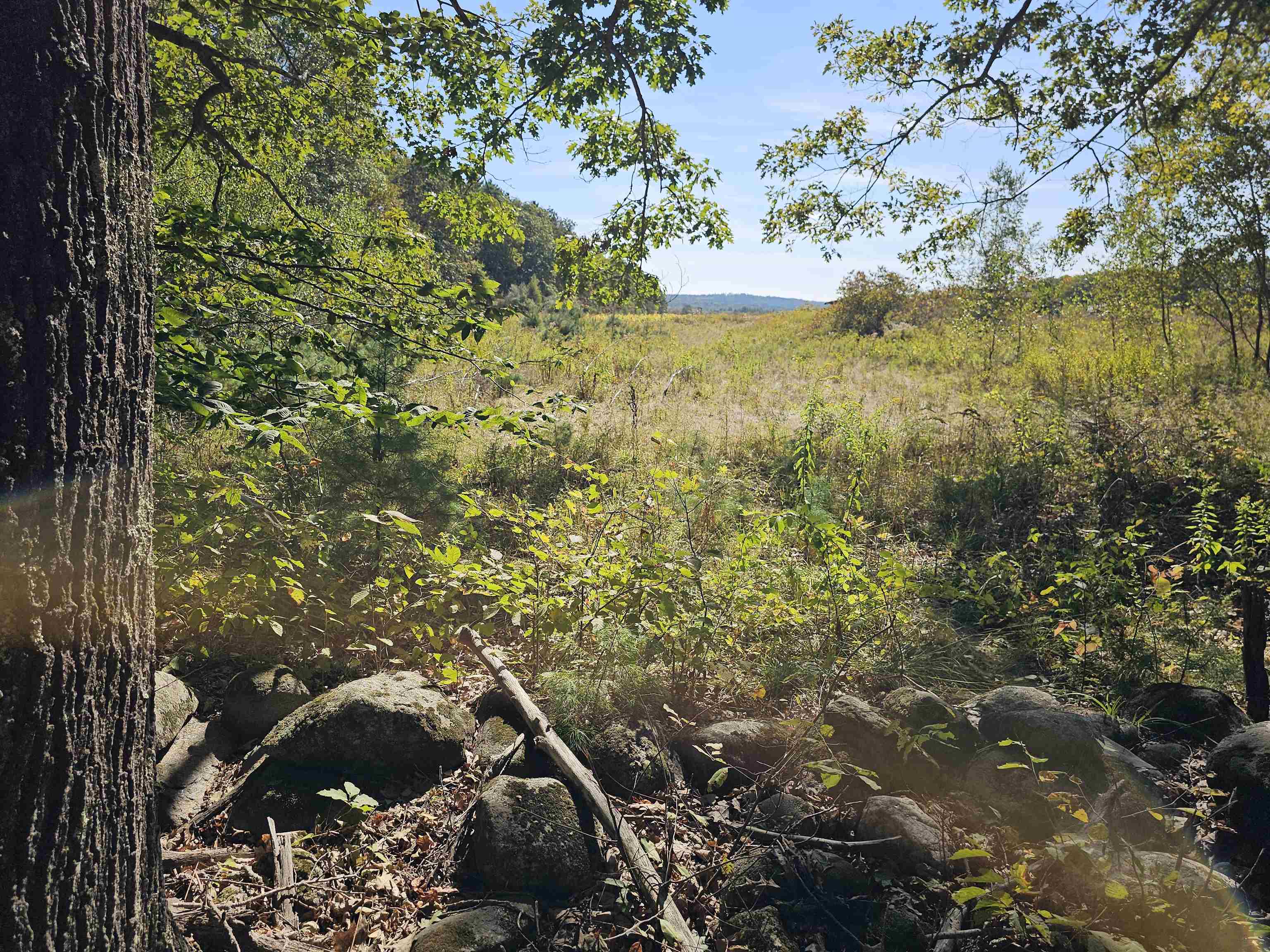 0 Shaw Road Center Barnstead, NH 03225 - Photo 9 of 39
