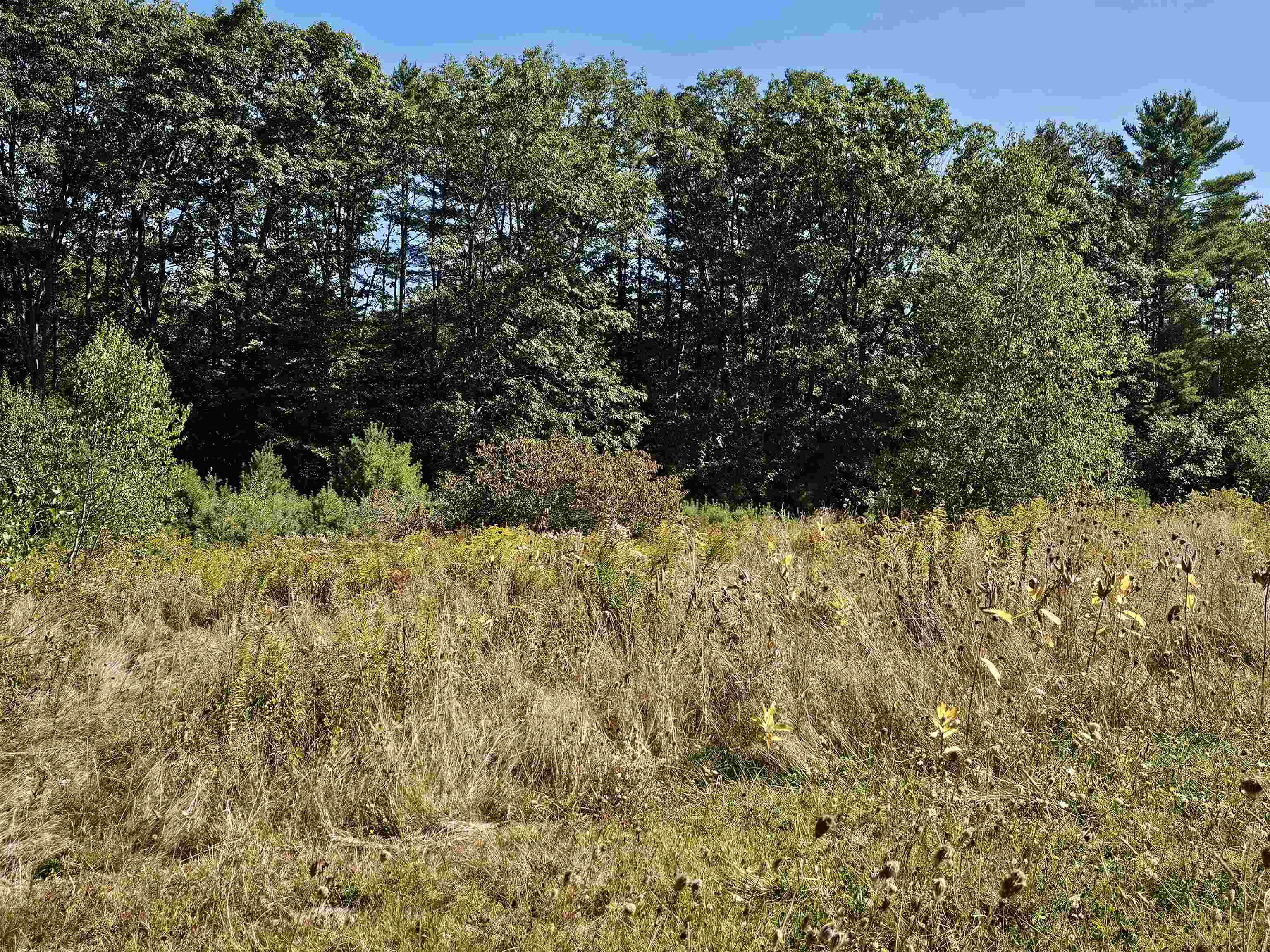 0 Shaw Road Center Barnstead, NH 03225 - Photo 10 of 39