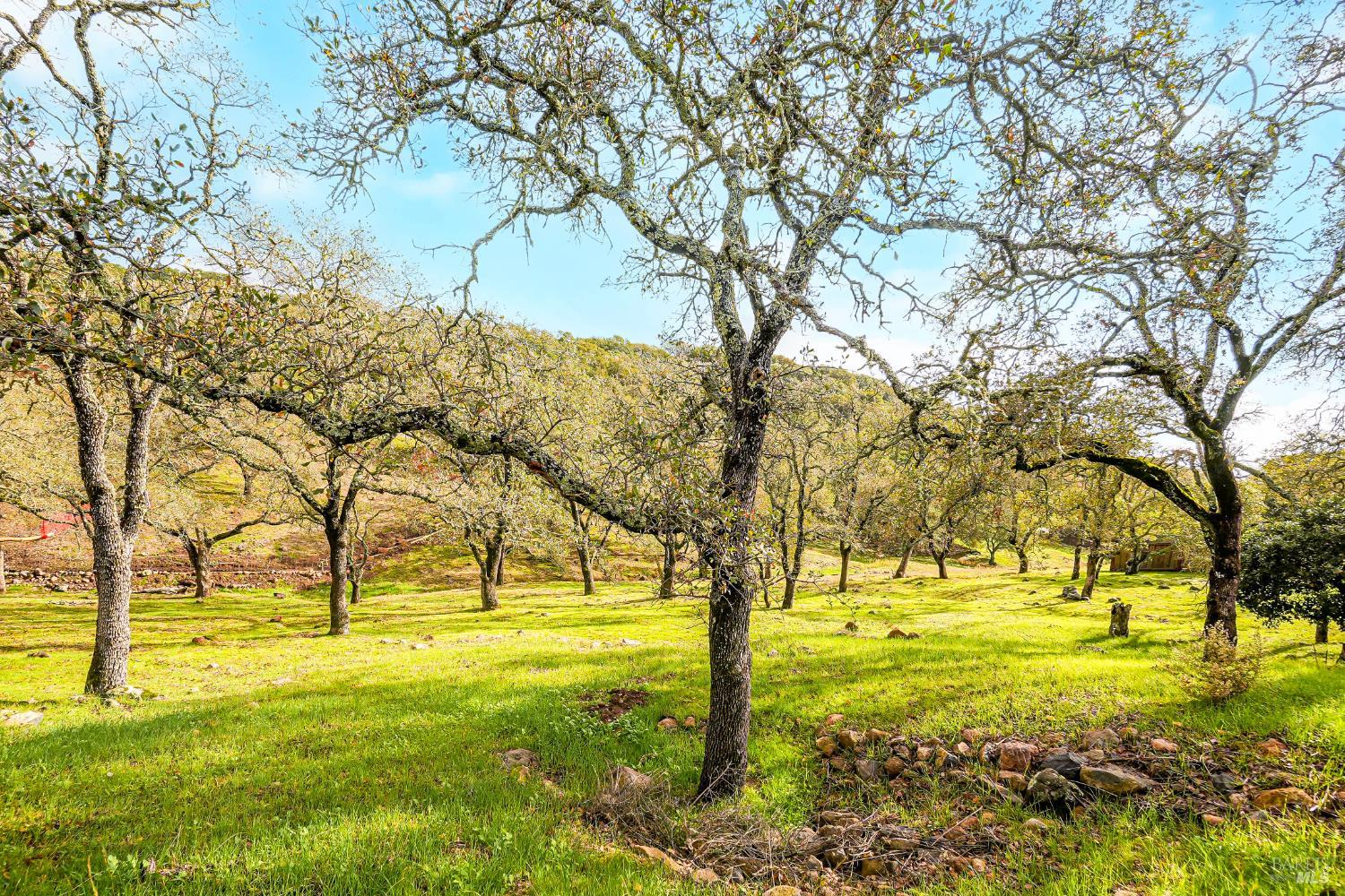 5335 Boulder Ridge Court Fairfield, CA 94534 - Photo 93 of 108