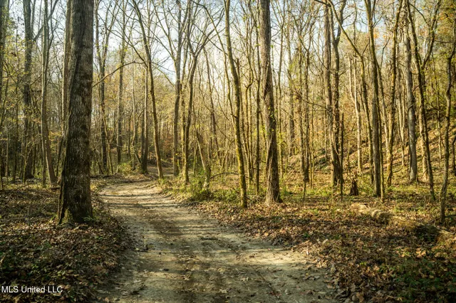 $1,631,375 | 553 Murray Road, Vicksburg, MS 39183