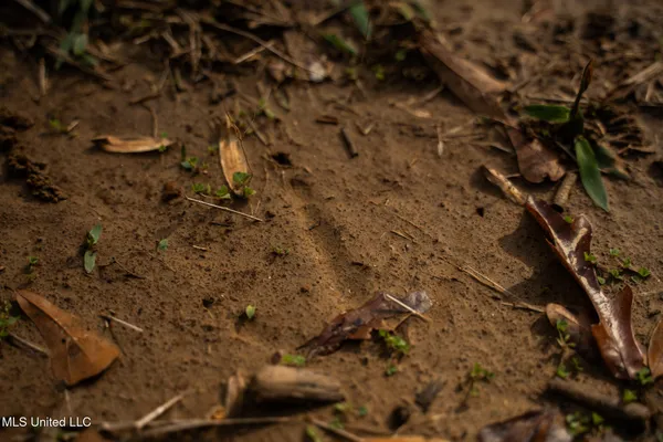 $1,631,375 | 553 Murray Road, Vicksburg, MS 39183