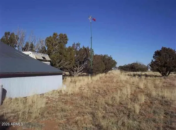 a view of a dry yard with trees
