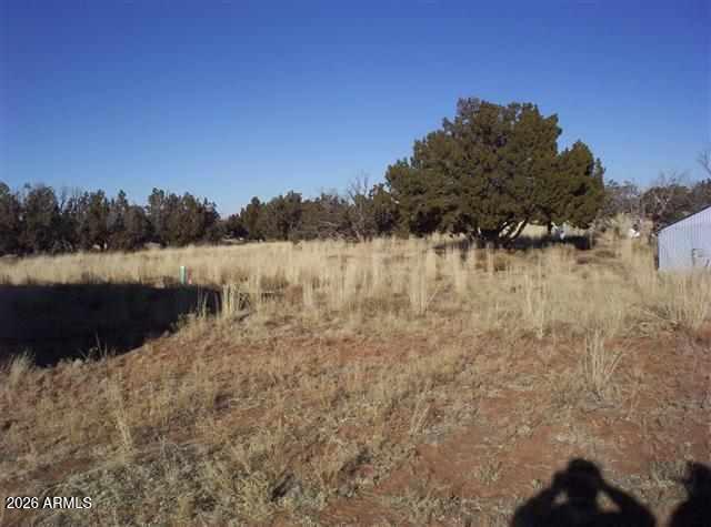 1131 Southwell Road, Unit 13D Heber, AZ 85928 - Photo 7 of 7 7