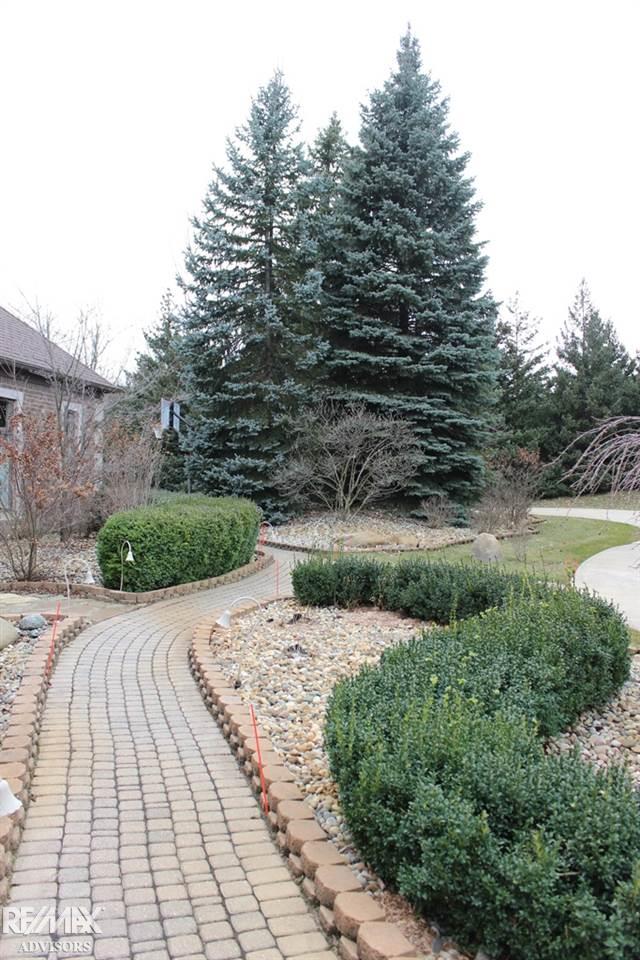5556 Abbey Drive Rochester, MI 48306 - Photo 9 of 75 31313650-8.JPG