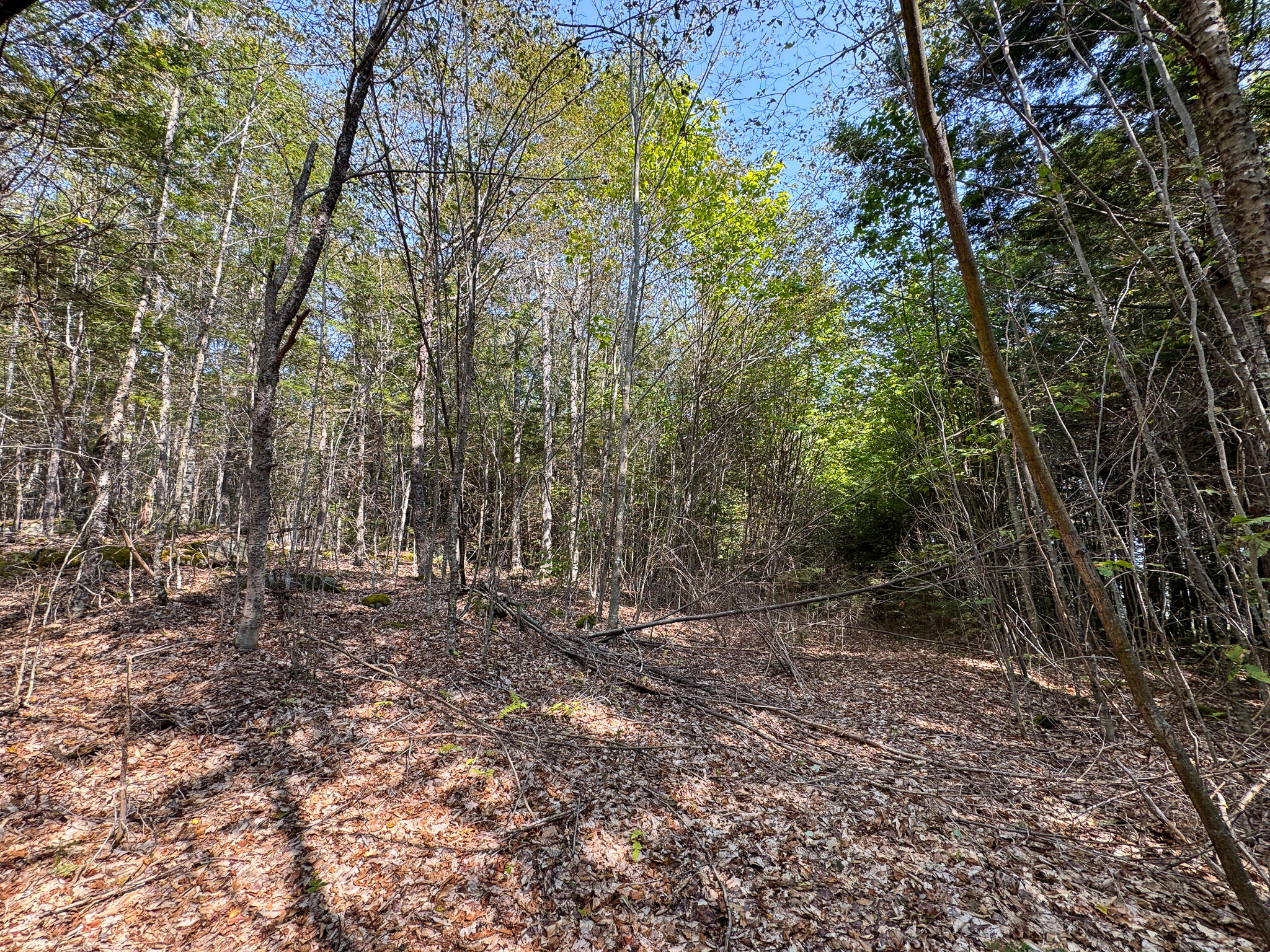 P/o M29-l23 P/o M29-l23 Bluff Road Enfield, ME 04493 - Photo 12 of 29 IMG_8550