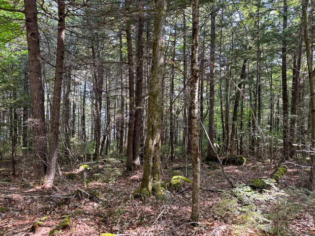 $350,000 | P/o M29-l23 P/o M29-l23 Bluff Road, Enfield, ME 04493