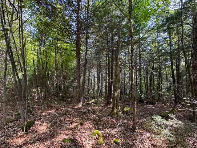 $350,000 | P/o M29-l23 P/o M29-l23 Bluff Road, Enfield, ME 04493