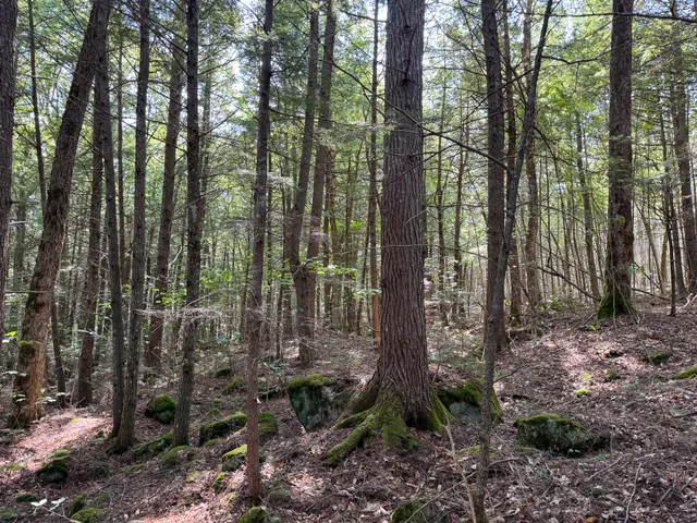 $350,000 | P/o M29-l23 P/o M29-l23 Bluff Road, Enfield, ME 04493