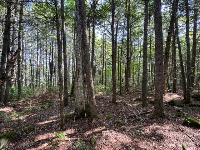 $350,000 | P/o M29-l23 P/o M29-l23 Bluff Road, Enfield, ME 04493