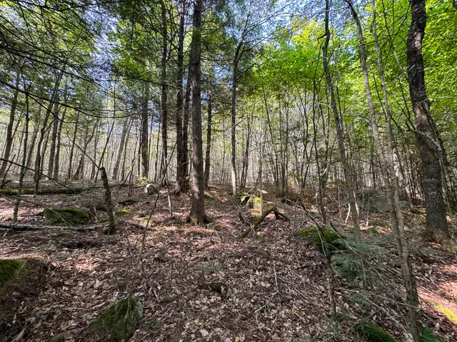 $350,000 | P/o M29-l23 P/o M29-l23 Bluff Road, Enfield, ME 04493