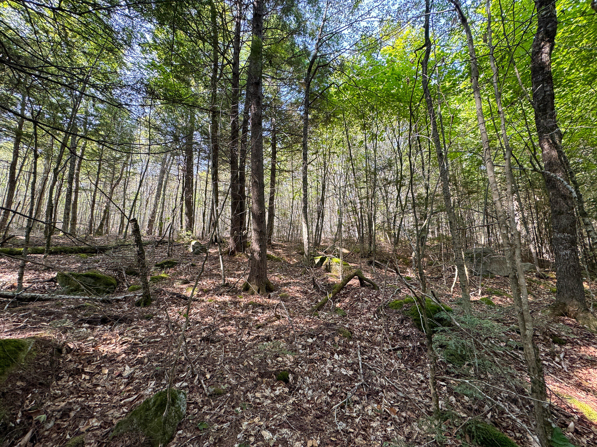 P/o M29-l23 P/o M29-l23 Bluff Road Enfield, ME 04493 - Photo 17 of 29 IMG_8555