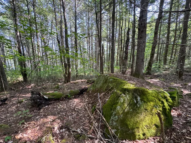 $350,000 | P/o M29-l23 P/o M29-l23 Bluff Road, Enfield, ME 04493