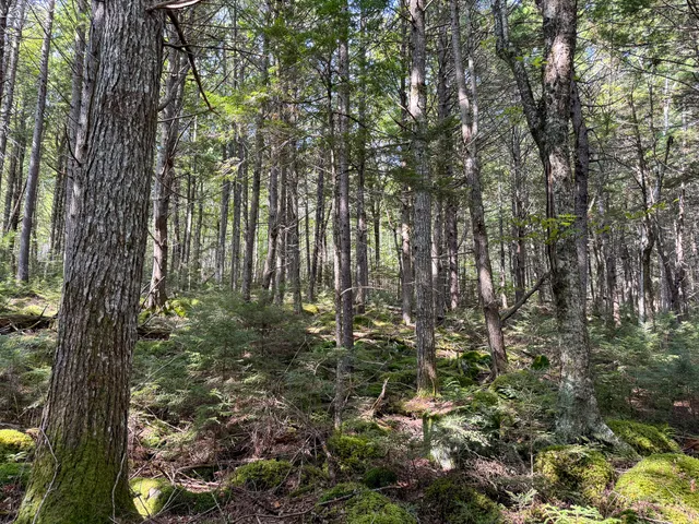 $350,000 | P/o M29-l23 P/o M29-l23 Bluff Road, Enfield, ME 04493