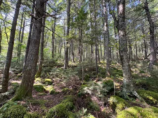 $350,000 | P/o M29-l23 P/o M29-l23 Bluff Road, Enfield, ME 04493