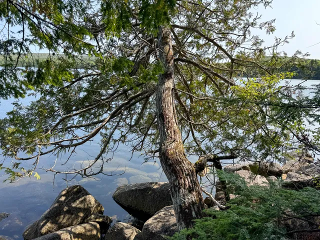 $350,000 | P/o M29-l23 P/o M29-l23 Bluff Road, Enfield, ME 04493