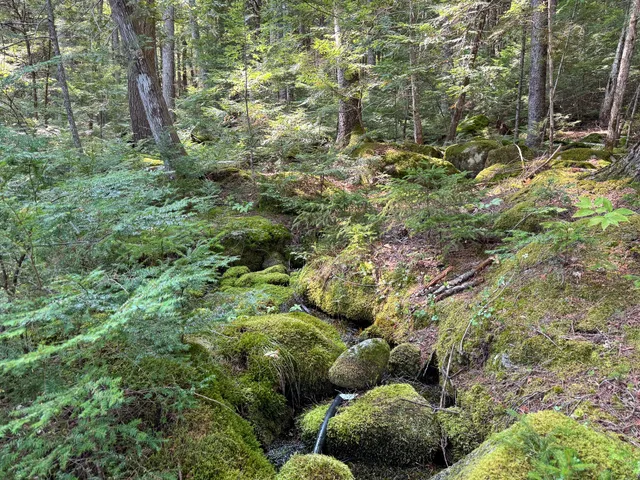 $350,000 | P/o M29-l23 P/o M29-l23 Bluff Road, Enfield, ME 04493