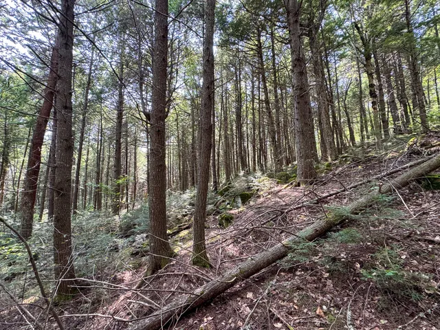 $350,000 | P/o M29-l23 P/o M29-l23 Bluff Road, Enfield, ME 04493