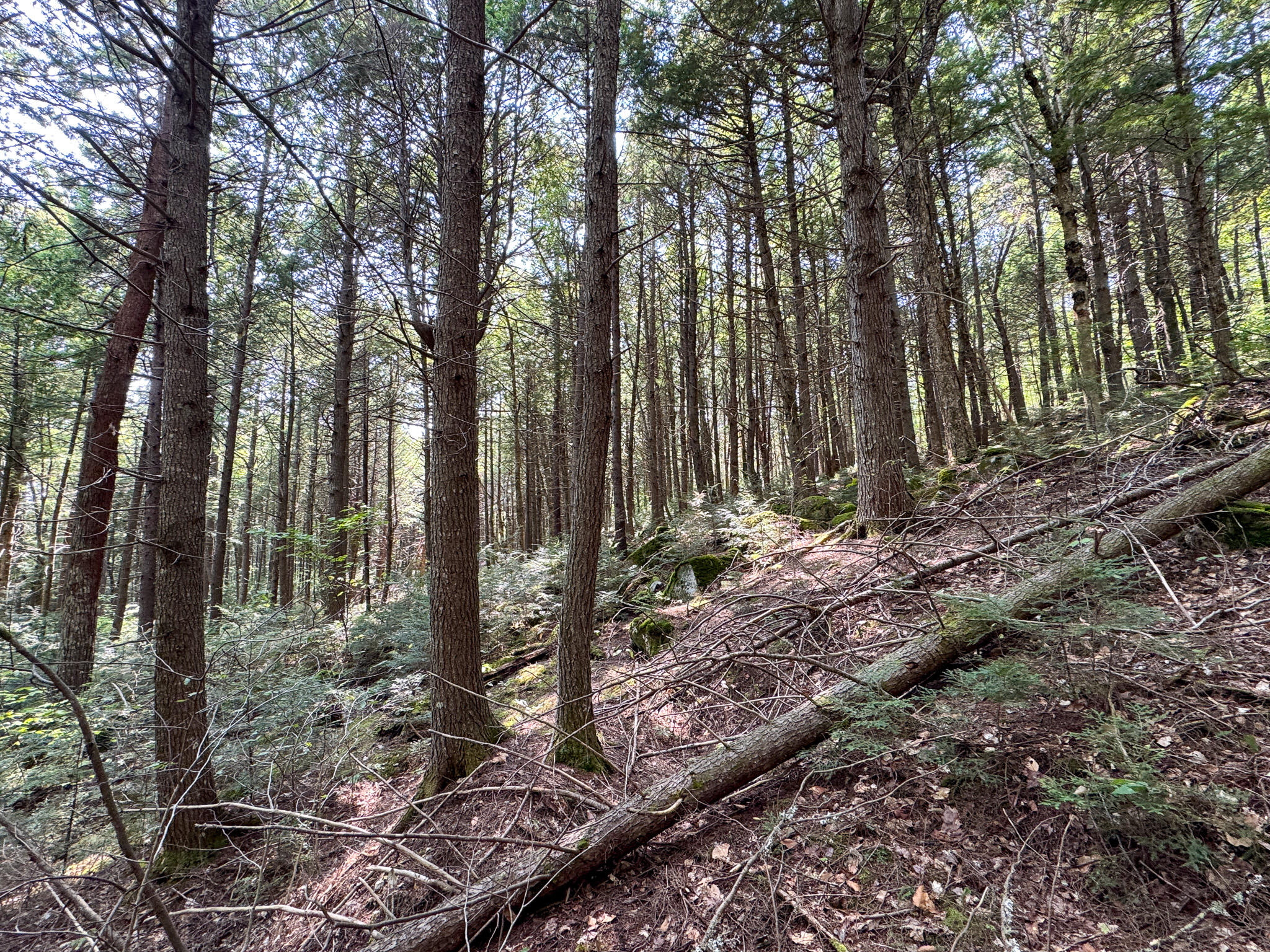 P/o M29-l23 P/o M29-l23 Bluff Road Enfield, ME 04493 - Photo 28 of 29 IMG_8566