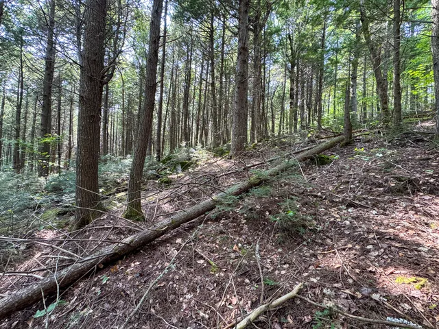 $350,000 | P/o M29-l23 P/o M29-l23 Bluff Road, Enfield, ME 04493