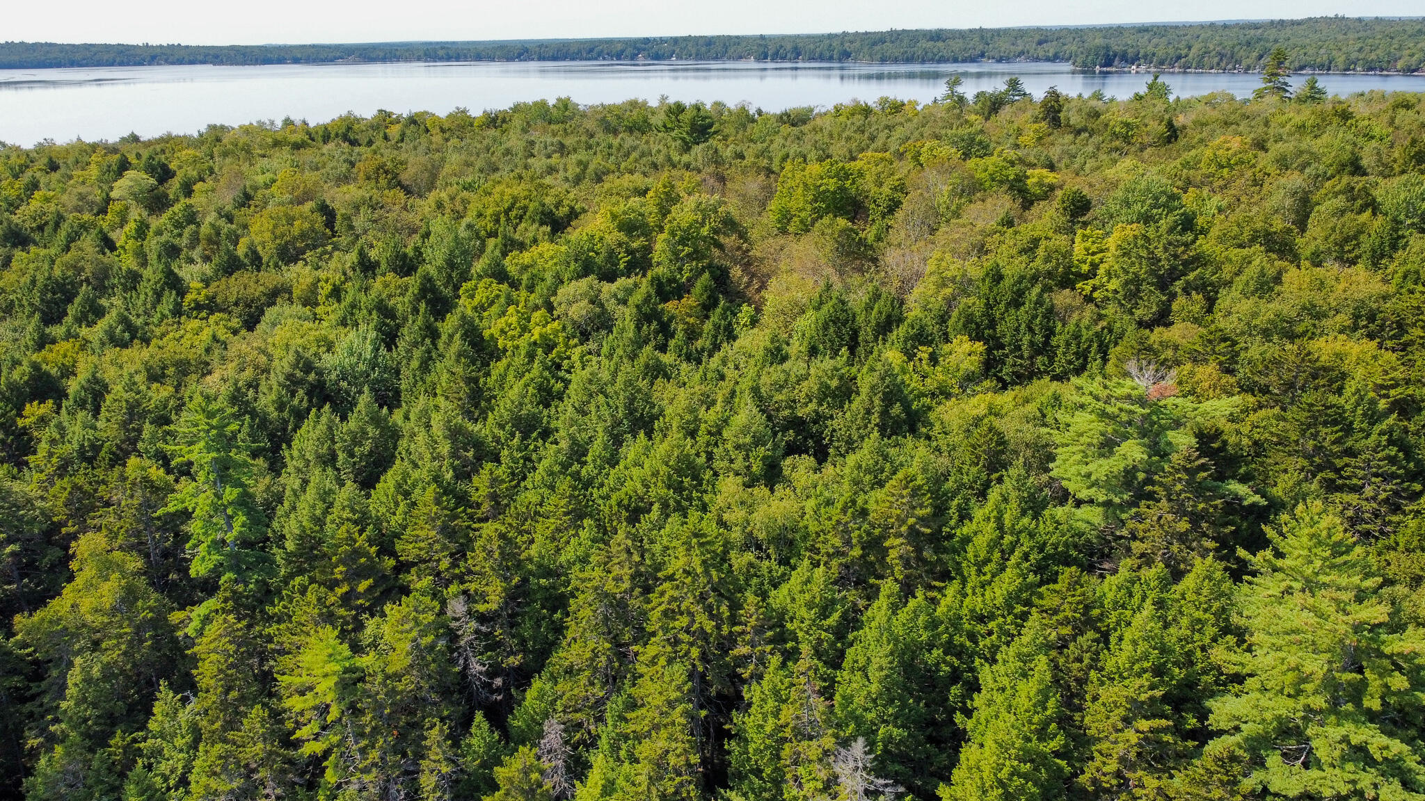 P/o M29-l23 P/o M29-l23 Bluff Road Enfield, ME 04493 - Photo 4 of 29 dji_fly_20250909_112914_699_175743179471