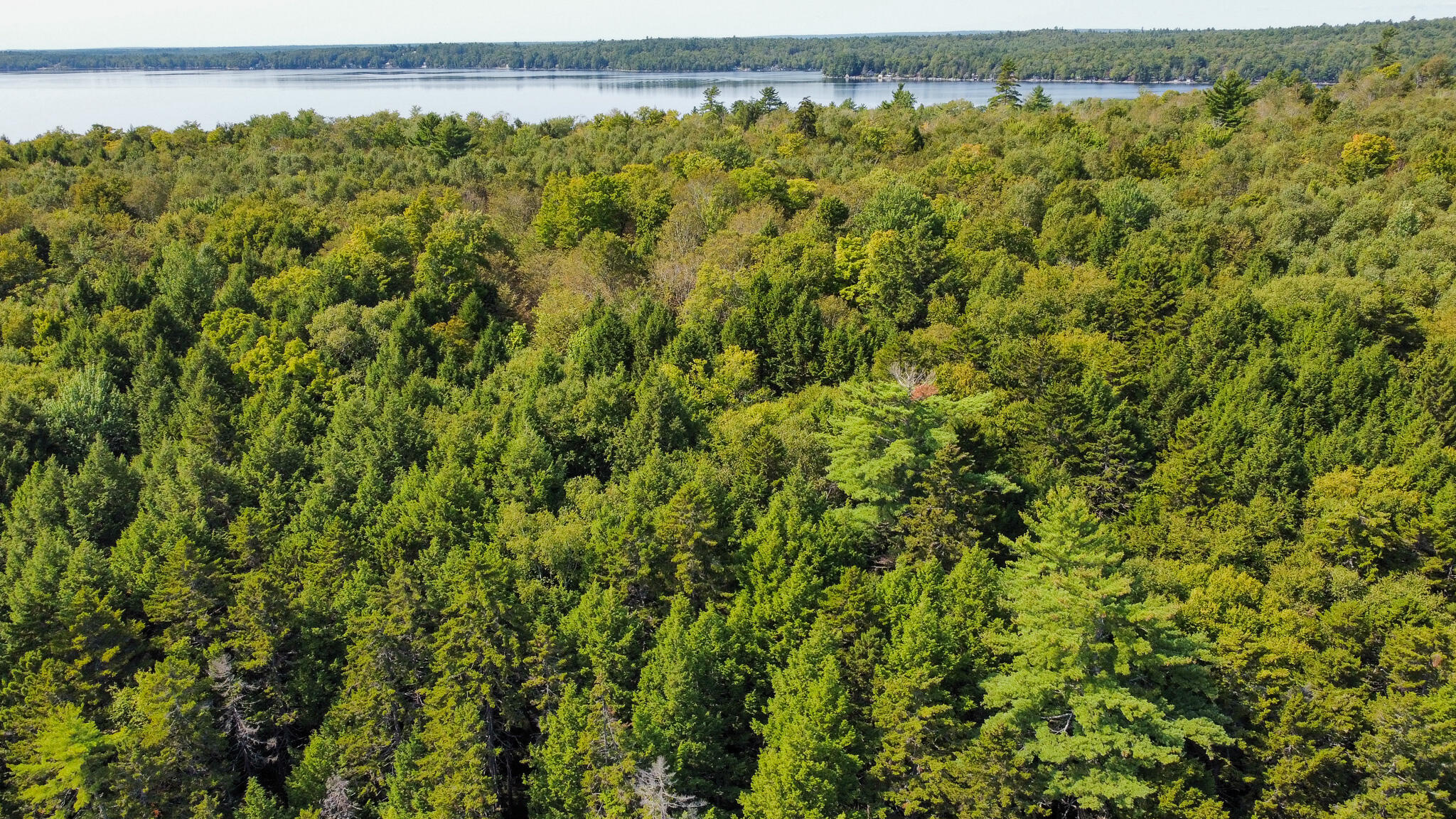 P/o M29-l23 P/o M29-l23 Bluff Road Enfield, ME 04493 - Photo 6 of 29 dji_fly_20250909_112928_701_175743184797