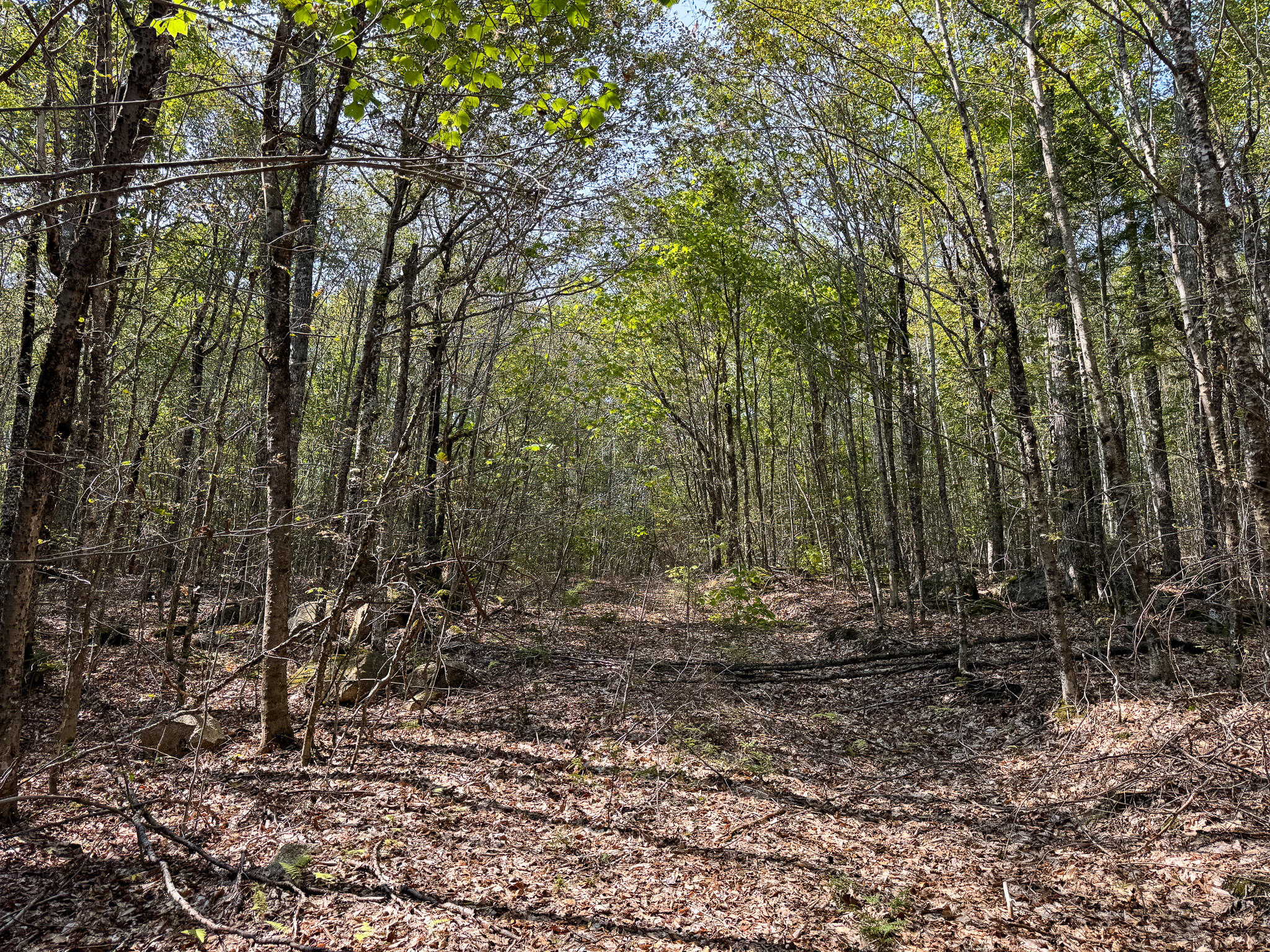 P/o M29-l23 P/o M29-l23 Bluff Road Enfield, ME 04493 - Photo 9 of 29 IMG_8547