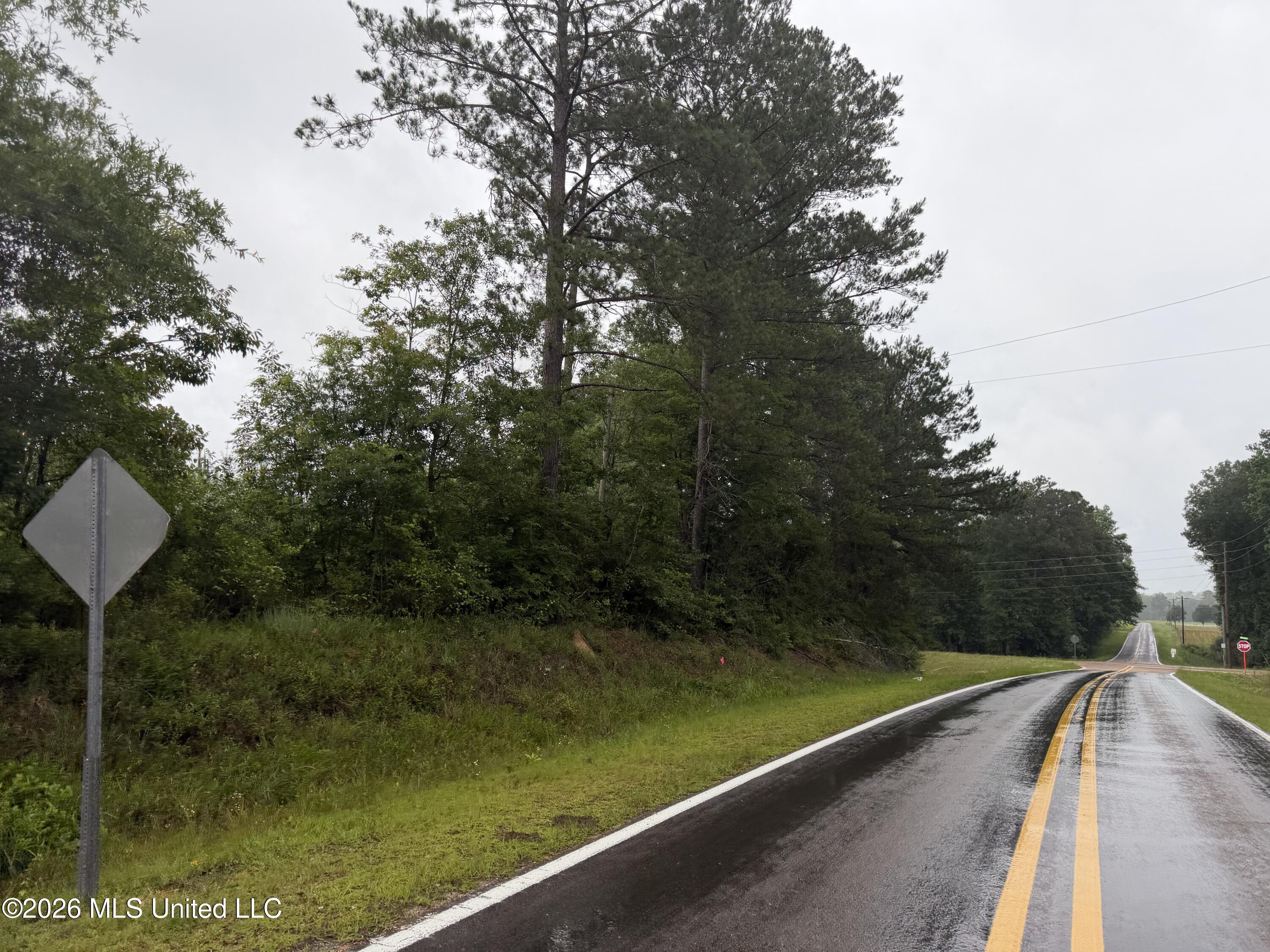 North River Road North Ruth, MS 39662 - Photo 12 of 13 IMG_7302