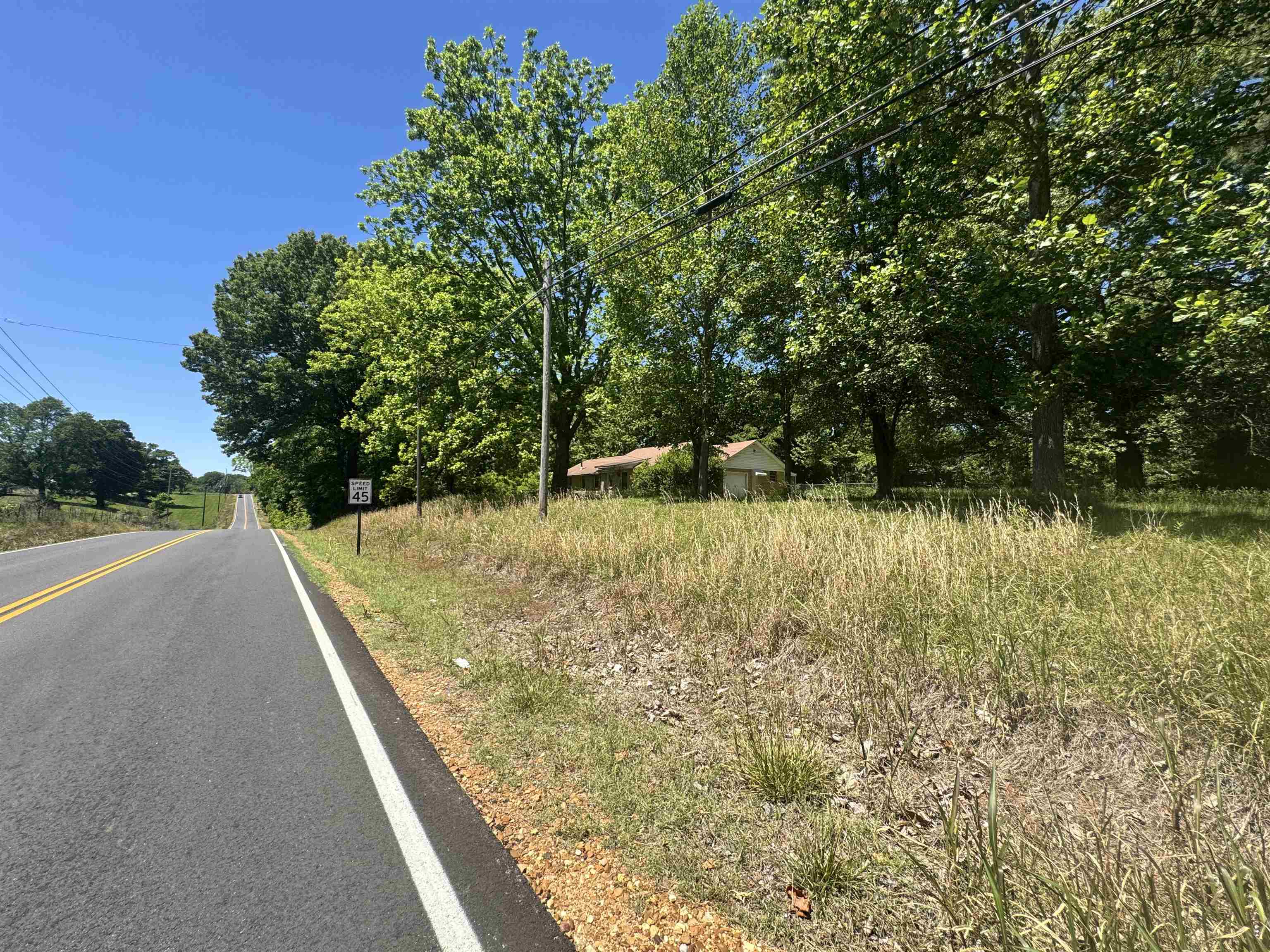 4712 Drummonds Road Drummonds, TN 38023 - Photo 37 of 38 Expansive lot featuring mature trees and a distant structure, bordered by a paved road