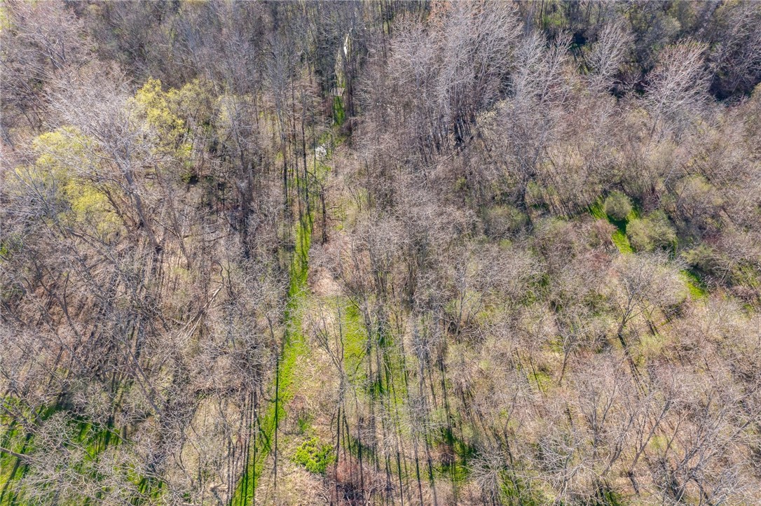 4371 Downs Road Walworth, NY 14568 - Photo 46 of 49