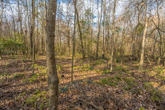 $382,500 | 126 Sarmiento Lane, Summerville, SC 29483