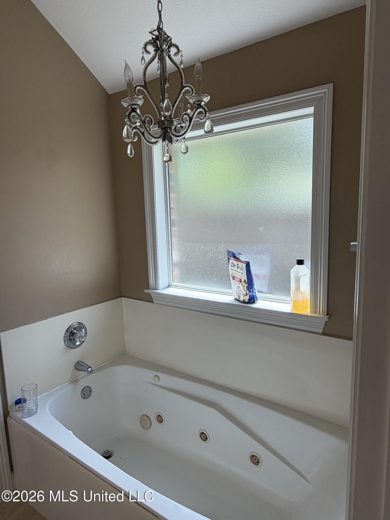 229 Camelot Way Brandon, MS 39047 - Photo 21 of 25 Primary Bathtub