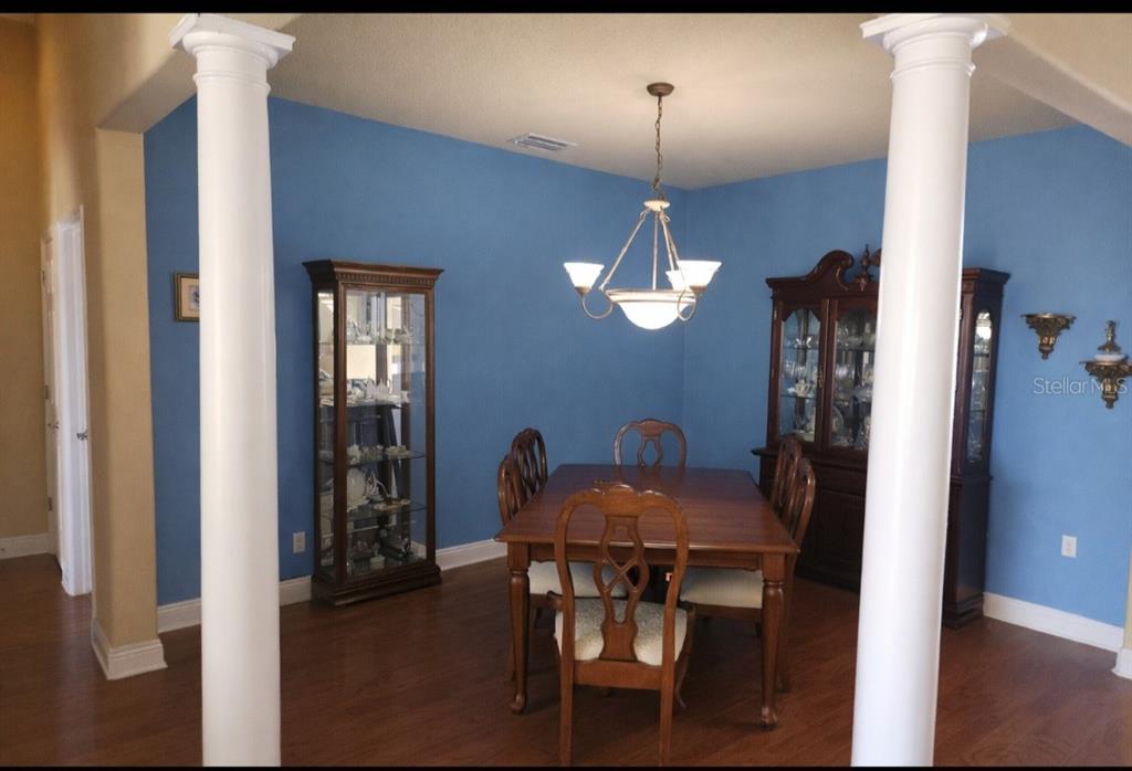 5810 Candytuft Place Land O' Lakes, FL 34639 - Photo 12 of 49