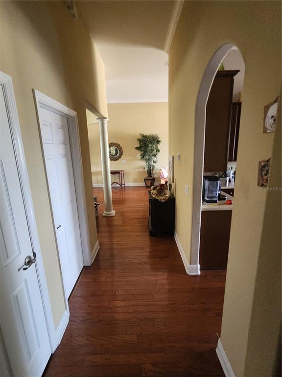 5810 Candytuft Place Land O' Lakes, FL 34639 - Photo 18 of 49