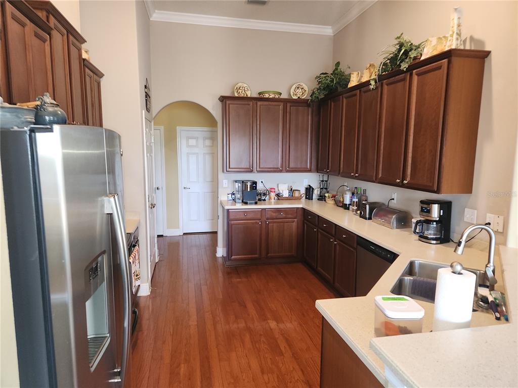 5810 Candytuft Place Land O' Lakes, FL 34639 - Photo 22 of 49