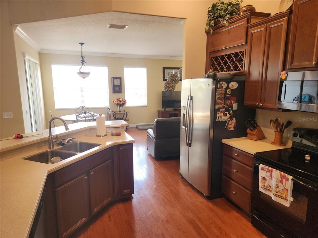 5810 Candytuft Place Land O' Lakes, FL 34639 - Photo 25 of 49