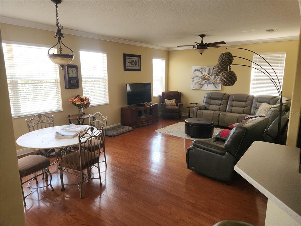 5810 Candytuft Place Land O' Lakes, FL 34639 - Photo 26 of 49