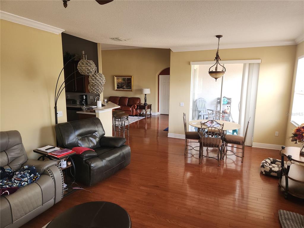 5810 Candytuft Place Land O' Lakes, FL 34639 - Photo 27 of 49