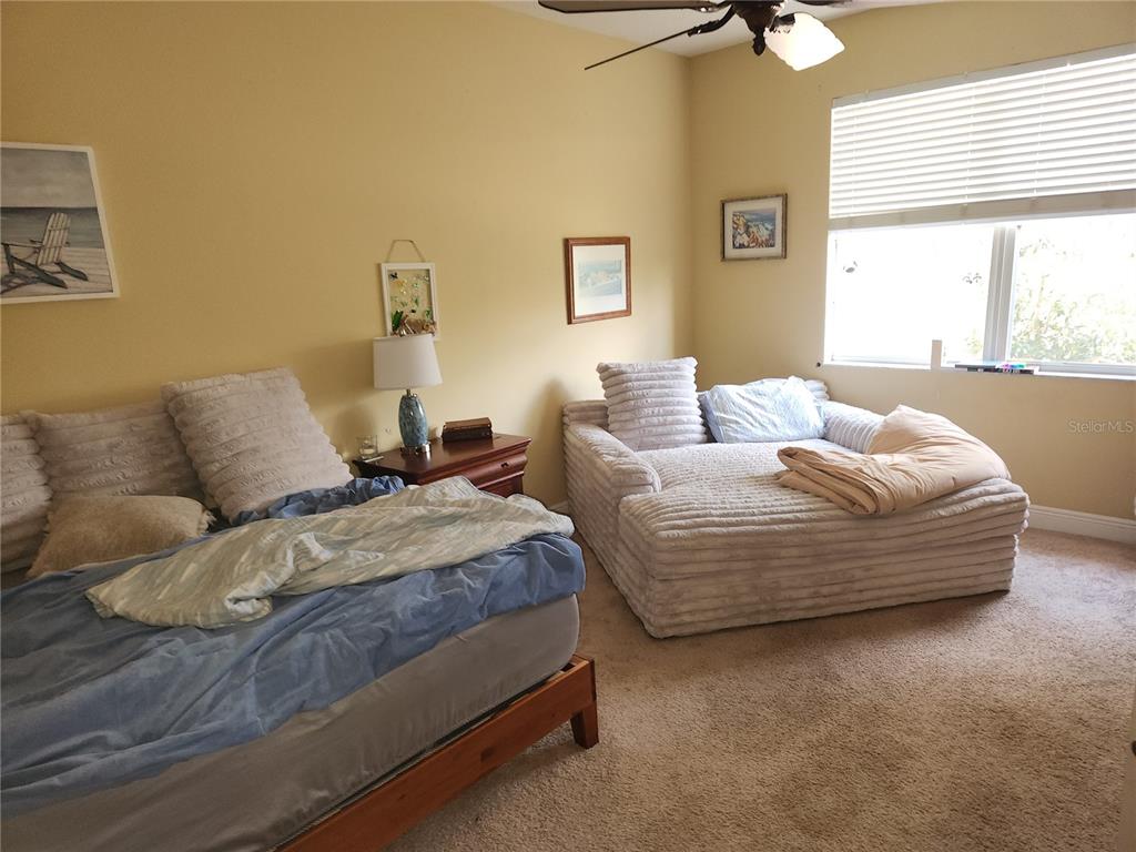 5810 Candytuft Place Land O' Lakes, FL 34639 - Photo 28 of 49