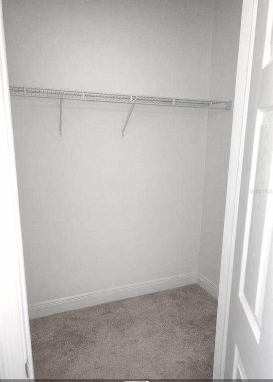 5810 Candytuft Place Land O' Lakes, FL 34639 - Photo 31 of 49