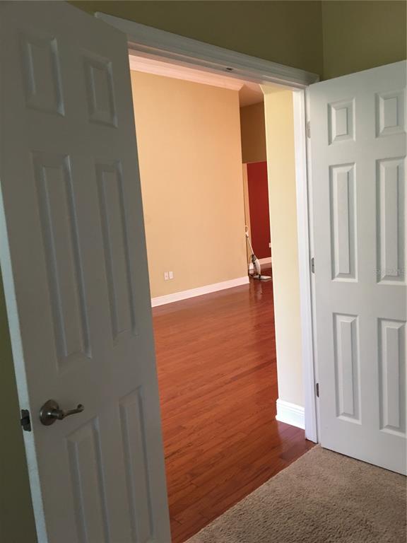 5810 Candytuft Place Land O' Lakes, FL 34639 - Photo 38 of 49