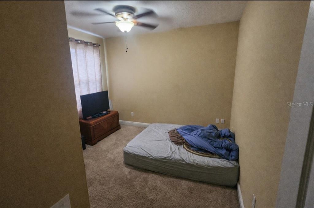 5810 Candytuft Place Land O' Lakes, FL 34639 - Photo 39 of 49