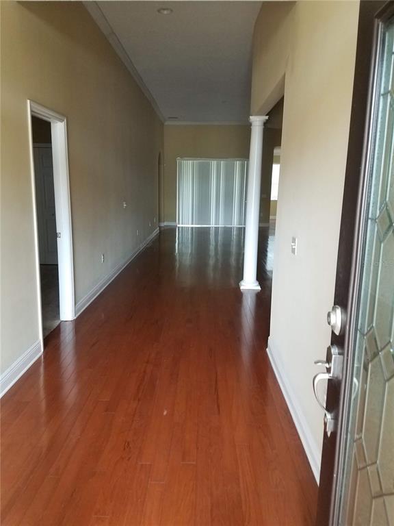 5810 Candytuft Place Land O' Lakes, FL 34639 - Photo 6 of 49