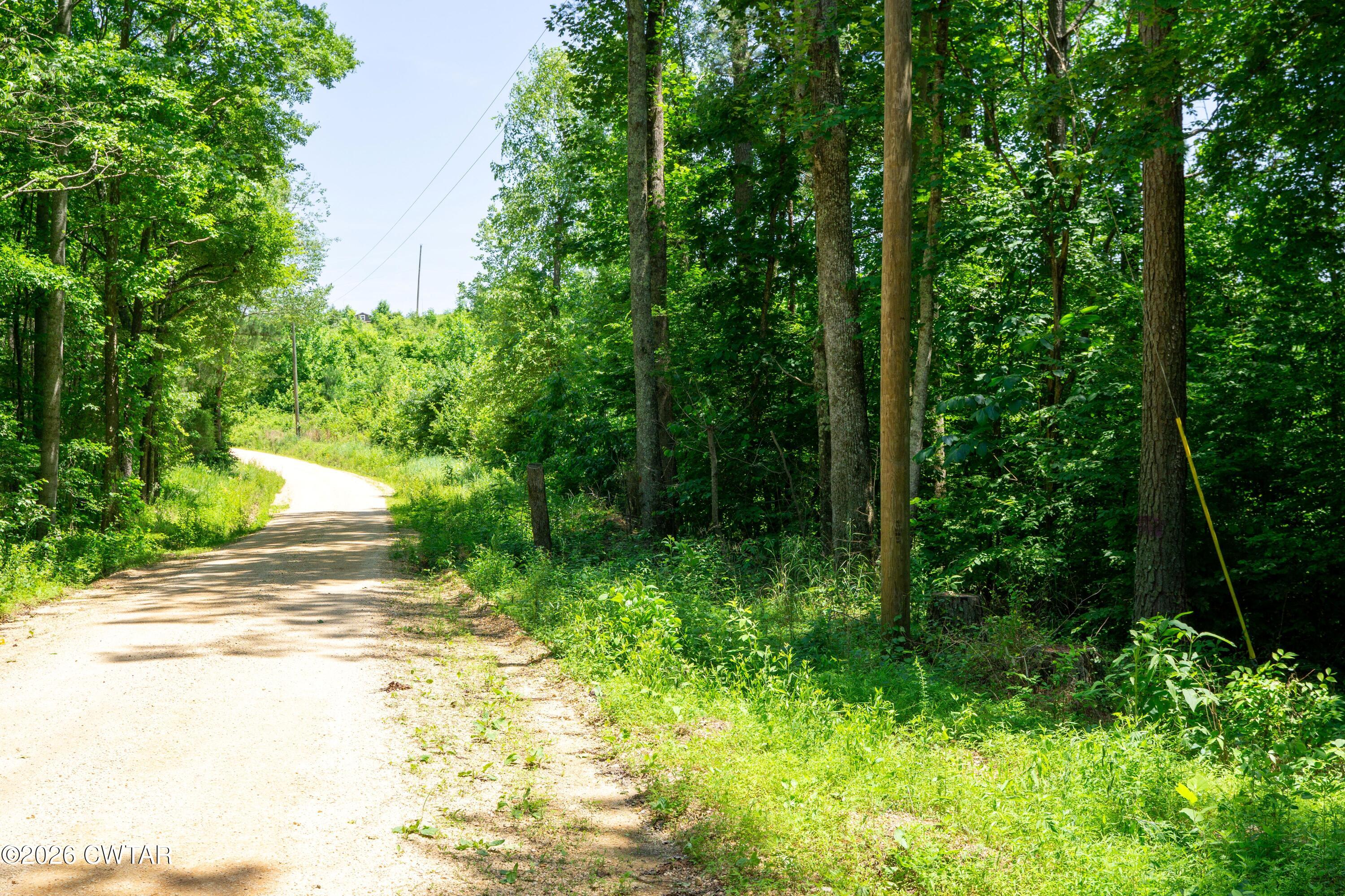 0 Walter Mills Road Sugar Tree, TN 38380 - Photo 13 of 15 556R